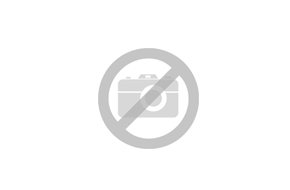 Compact Fluorescent (CFL) Bulbs